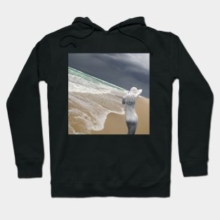 A Perfect Girls Figure, Le Porge Beach, France Hoodie